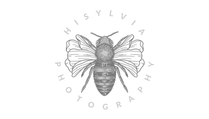 hi sylvia photography