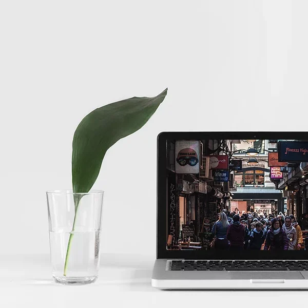 Expert web design services by Nuve agency in Melbourne, VIC. Specialists in creating custom, professional websites for local businesses